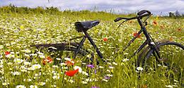 Slow Food va in bicicletta