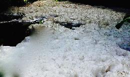 Sversamento abusivo all'alba nell'Arda