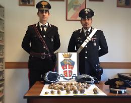 Papavero da oppio, due indiani denunciati a Castelvetro