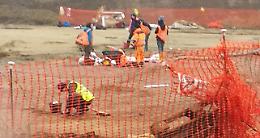 Il cantiere del gasdotto restituisce 'tesori' romani
