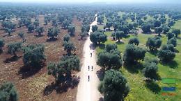 Non solo mare: un drone racconta la bellezza delle campagne di Monopoli