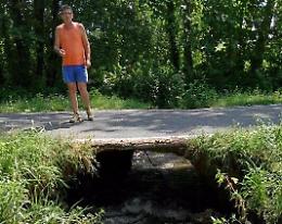 Nutrie, tunnel sotto la strada: chiusa la via per Annicco