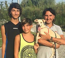 Salvata con un intervento al cuore, la cagnolina Jenny trova casa