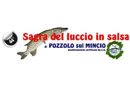 Sagra del luccio in salsa 2017

