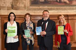 Cremona insieme a Bergamo, Brescia e Mantova contro lo smog