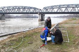 Aprono la diga sul Po, ondata e danni alle canottieri