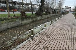 Vandali seriali, distrutta tutta la staccionata