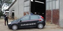 Simula il furto di bestiame, allevatrice 50enne denunciata
