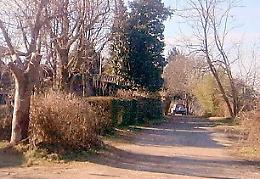 Bloccato in auto, panico e malore mortale 