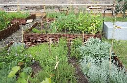 Botanica e storia: rinasce l'orto medievale