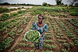 Oxfam: “L'aiuto internazionale ristagna”
