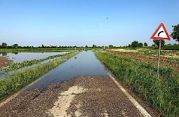 Crolla la sponda del canale: strada e campi allagati
