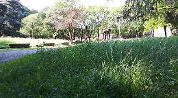 Porta Serio, "Parco fuori controllo"