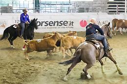 Cremona capitale del West con il Salone del Cavallo Americano