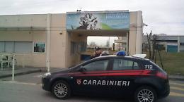 Bagno abusivo in piscina, denunciati due ragazzi