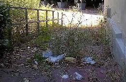 Baden Powell, il parco ‘dimenticato’
