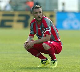 Cremonese, Pesce saluta