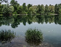 Laghetto dei Riflessi, tuffi vietati: presidio delle guardie ecologiche