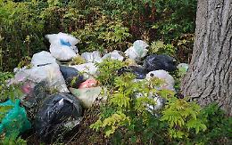 Scarti abbandonati nell'area verde