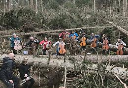 Il 'concerto preghiera' nella foresta dei violini