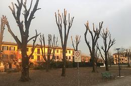 Potature da sanzionare:  &laquo;Danni per 70 mila euro&raquo;