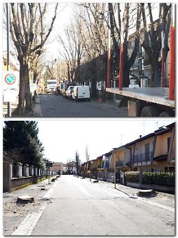Caso alberi tagliati in via Bacchetta. La Sinistra: "Per ora restiamo in maggioranza"