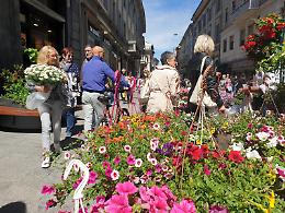 Le Invasioni Botaniche: taglio del nastro con il sole
