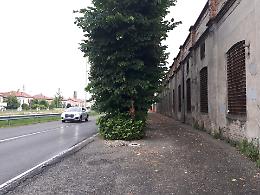 Piste ciclabili: "Comune rimandato"