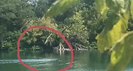 Bagni proibiti, anche coi materassini nel laghetto dei riflessi