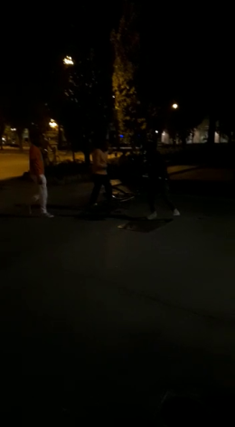 FOTO Le fasi concitate della rissa notturna in piazza Roma a Cremona