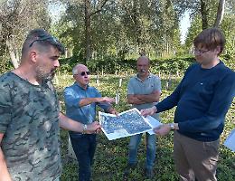 Città circondata dal verde: "Ma ora altre piante"