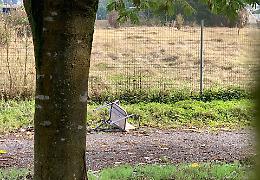 Intrusi di notte a La Buca
