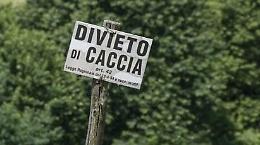 Divieto di caccia in aree del PLIS del Po e del Morbasco, interviene il Comune