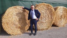 Rolfi: 'Il bonus verde deve essere reintrodotto'