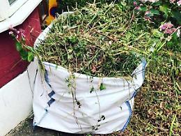 Scarti vegetali: raccolta porta a porta anche d'inverno