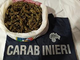750 grammi di marijuana nascosta in casa, arrestato 57enne