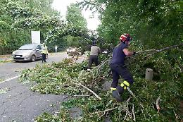 Vento forte, allerta arancione della Protezione civile regionale