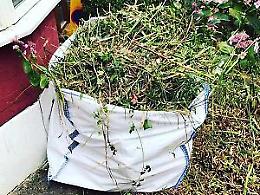 Scarti vegetali, riparte la raccolta settimanale