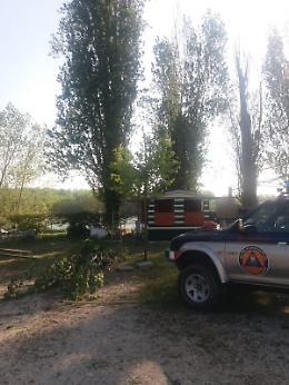 Alberi sulle strutture del centro nautico Tarozzi Boats