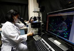  Coronavirus: Ema, vaccino forse pronto in un anno
