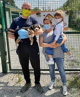 Cuccioli «a ruba», festa e adozioni in canile
