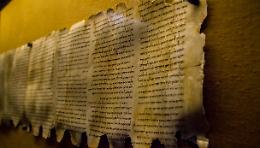 Il Dna aiuta a ricomporre la storia dei rotoli del Mar Morto