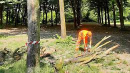 Il Parco degli scout messo in sicurezza