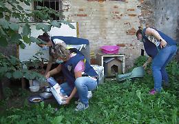 Cani sotto osservazione, sopralluogo da parte dell'Ats Val Padana