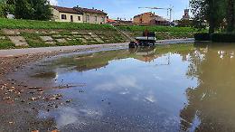 FOTO La piena del Po a Casalmaggiore