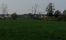 Parco del Tormo. Un piano per la rinascita