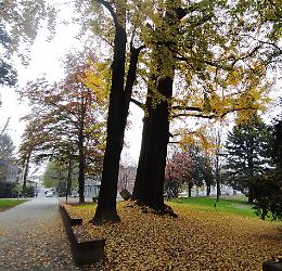 Secondo in Italia. Il parco nell’Olimpo del Fai