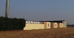 Firme anti forno crematorio: sono 600 in poche ore