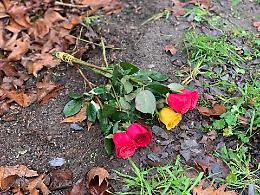 Il pap&agrave; di Jessica: piango con i genitori di Alberto e Lorenzo