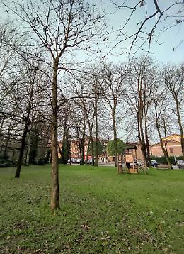 Mille alberi, nuovo parco a marzo in via Pandino
